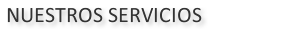 Servicios.fw.png